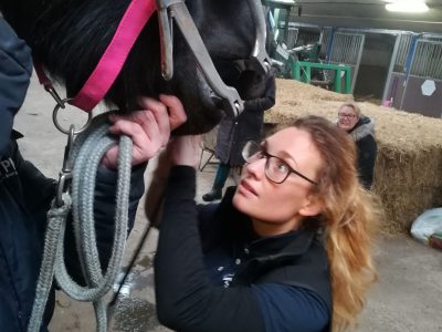 dierenarts Anna Pijpers dierenarts Anna Pijpers